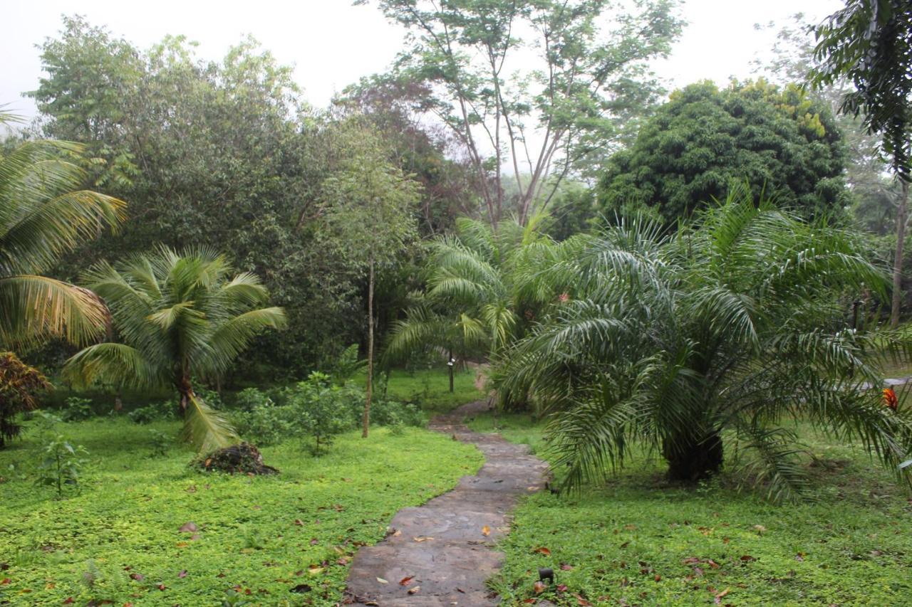 Cordillera Escalera *