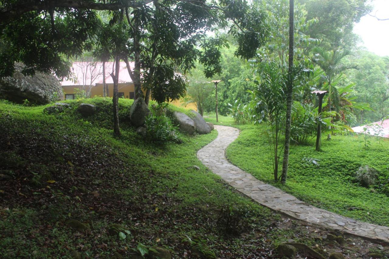 Cordillera Escalera * Tarapoto