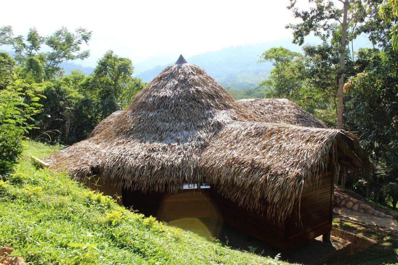 Cordillera Escalera * Tarapoto
